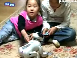 심층취재“탐사”