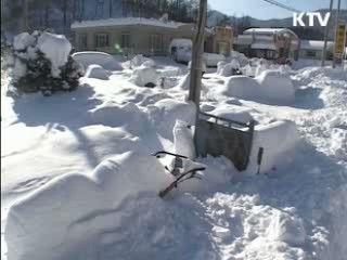 풍수해보험 '덜 내고 더 받는다'