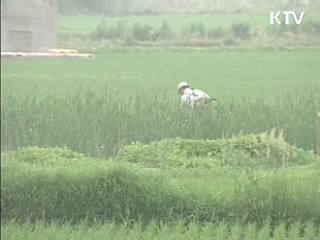 '농지연금' 2011년부터 도입