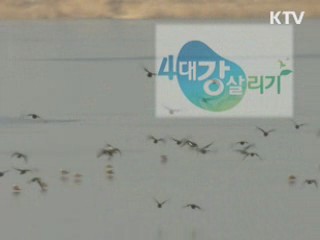 4대강 브랜드 '사람·자연 조화' 상징