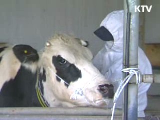 구제역 확산방지에 관계부처 총력