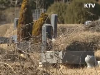 전국 분묘 중 무연고 묘 30%