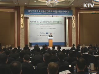 "선진국 금융규제 움직임, 따라가긴 일러"