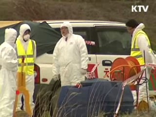 돼지 이어 소 구제역 발생…방역 총력