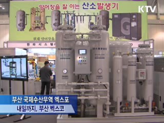 어류양식에 로봇의사 등장