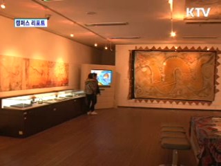 전주역사박물관 '용띠해 특별전' 성황