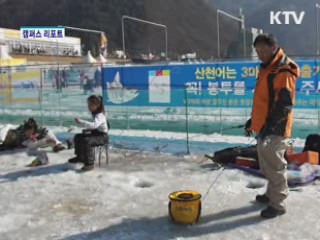 겨울 대표축제로 자리잡은 산천어축제
