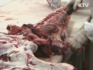 한우 암소 10만마리 감축···장려금 지원