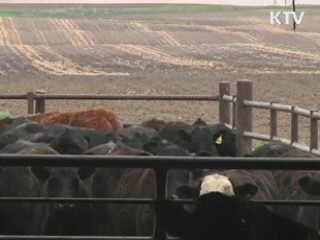 광우병 민관조사단 美 현지조사 시작