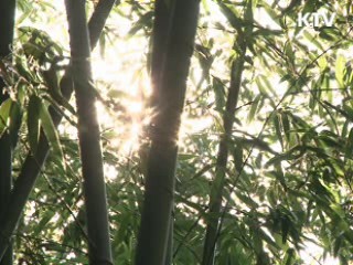 사진찍기 좋은 녹색명소 25곳 선정