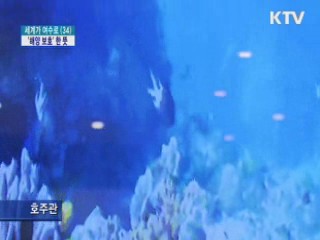 100여개 참가국 '해양 보호' 한 목소리