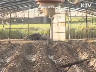 태풍 피해 복구작업 계속···시간 걸릴 듯