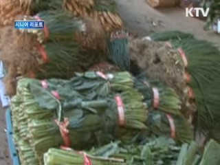 전문직 퇴직 후 '재능기부 천사'로 [시니어 리포트]