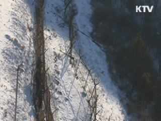 높아진 도발 위협…군, 한때 '진돗개' 발령