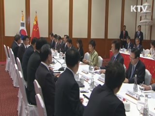 한중 정상회담···시진핑 "북한 핵 보유 반대"