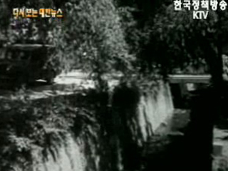 독나비 살충 작업(`58)