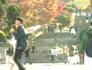 정부 `2단계 BK21 지역배분 원칙 지킨다`