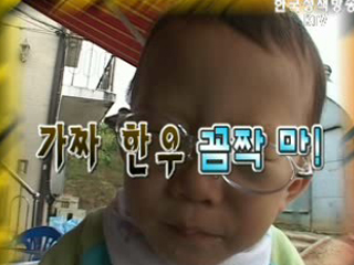 가짜 한우 꼼짝마!