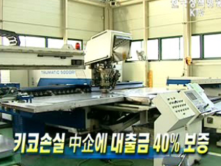 키코손실 中企에 대출금 40% 보증 