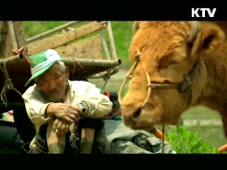 이충렬 감독의 '워낭소리'