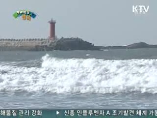 바다, 밀물과 썰물 이야기