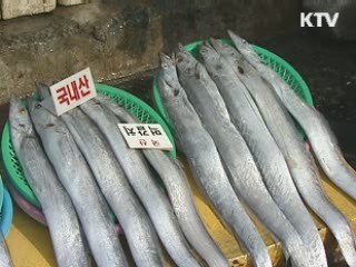 설 앞두고 갈치 3천300t 조기 방출
