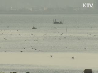 오늘의 정책(전체)