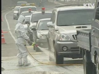 정부, 구제역 예방백신 접종 결정