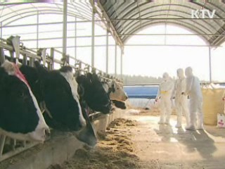 이 대통령 "구제역 백신 자체생산 검토" 