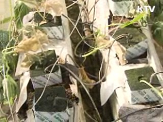 폭설지역, 특별교부세 50억원 긴급 지원