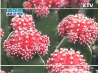 컨설팅 날개 달고 세계로 가는 선인장