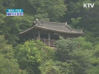 함안에서 역사와 풍광을! [캠퍼스 리포트]