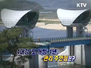 4대강 '보 개방' 1년, 관리 주안점은? [와이드 인터뷰]