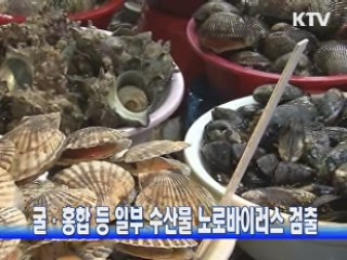 굴·홍합 등 일부 수산물 노로바이러스 검출
