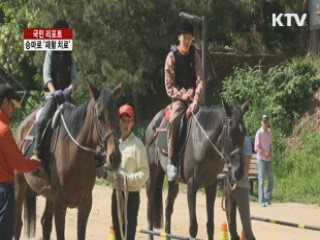 승마, 지적장애인 재활치료 효과 크다 [국민리포트]