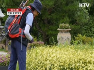 물 맑은 양평서 들꽃 감상하세요 [국민리포트]