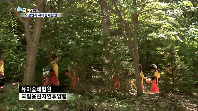 자연을 배우는 숲 속 교실…'유아숲체험원'