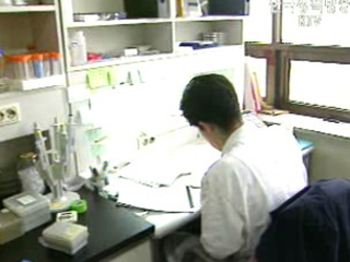 전량수입 독감백신, 국내서 생산한다