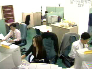 여성 고용지위, 남성의 절반 가량