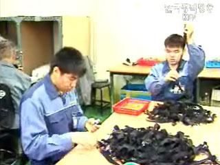 사업주 10명중 8명 `장애인 잘 뽑았다`