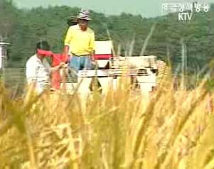 한미 FTA, 실익 극대화가 우선