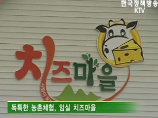 주민·기업 함께 일군 '토종 치즈' 신화