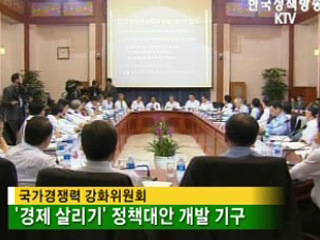 규제개혁 추진내용 과 국가 경쟁력 강화 방안