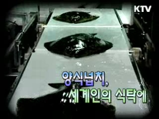 양식넙치, 세계인의 식탁에 [이것이 최고]