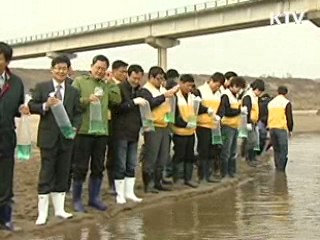 멸종위기종 '미호종개' 금강 방류