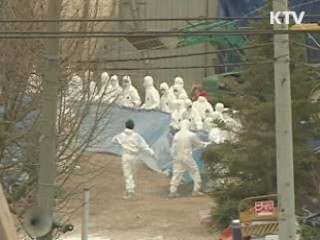 이 대통령 "구제역 번지면 군도 적극 협력"