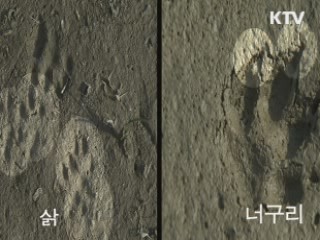 습지 곳곳 생명이 살아 숨쉬는 금강