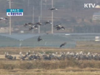 AI 재발 방지 '농가·당국 총력 방역중'