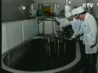 "北 비핵화 진전되면 경수로 논의 가능"