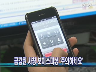 금감원 사칭 보이스피싱 '주의하세요'